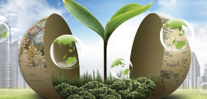  Los negocios ecológicos: Alternativa para combatir el deterioro ambiental - Yammine 